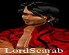 room rules dutch