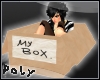 My Box
