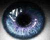 t| Blue Shine Eyes Male