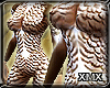 xmx. N. Hawk Owl Shape
