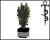[DB] Neon Plant