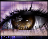 http://userimages02-akm.imvu.com/productdata/images_fb086ed1e69f1c965a94c94c85cf9307.png