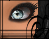 [LB]Perfect Scene Skin