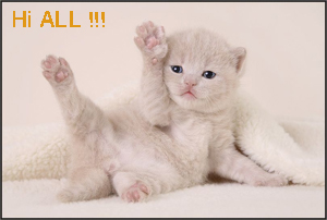 sticker_15700269_47602559