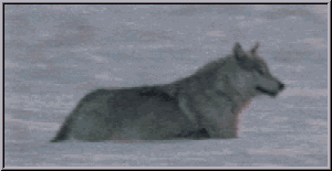 sticker_5153791_21580661