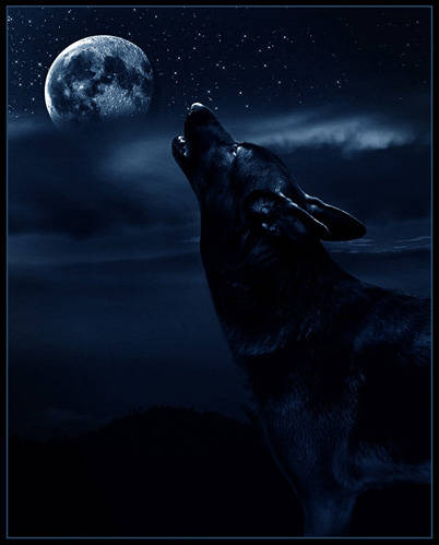 sticker_6190978_44568700