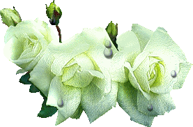 sticker_31402895_43637659