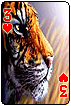 sticker_22933190_44496078