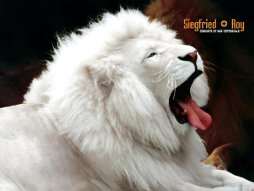 sticker_38522316_2