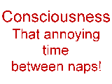 sticker_33654402_46687238