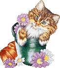 sticker_31671583_47431863