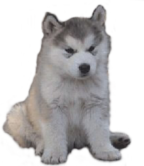 sticker_27180233_37218325