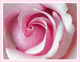 sticker_41652462_2