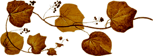 sticker_36192919_17