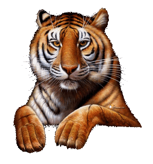 sticker_11005593_46677531