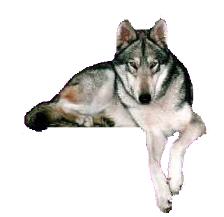 sticker_19607606_34733836