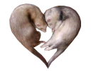 sticker_23653903_32160377