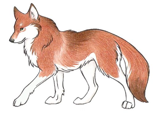 sticker_22155495_35251835