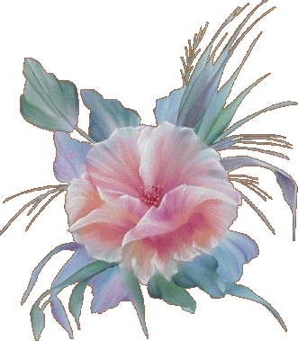 sticker_23168801_40055696