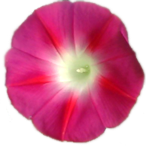 sticker_39524589_61