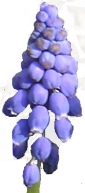 sticker_35754523_29