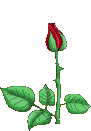 sticker_4420710_22863855