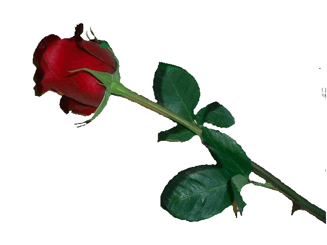sticker_30578747_43065301