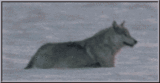 sticker_10793032_22517595
