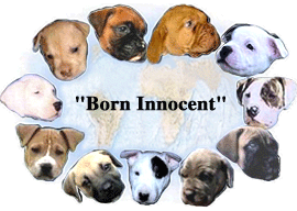 sticker_22639614_41415161