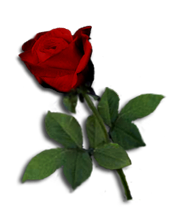 sticker_20921300_47206272