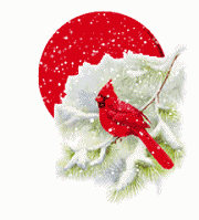 sticker_13288674_43575289