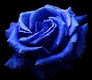 sticker_33029557_47568033