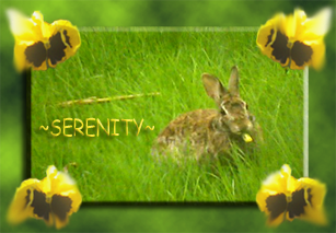 sticker_11359521_34323804