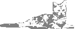 sticker_23094462_35074032