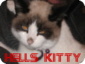 sticker_29559036_39985579