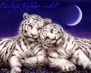 sticker_13118760_25695148