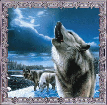 sticker_18382054_24564049