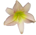 sticker_13085937_19439901