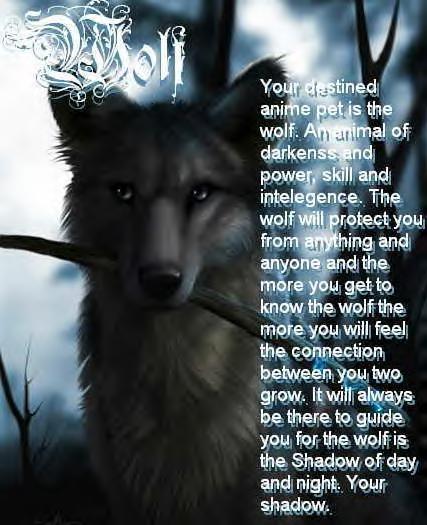 sticker_18382054_38409776