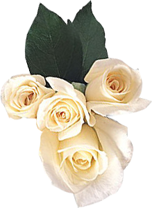sticker_15805254_27811327