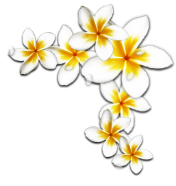 sticker_1164371_17113015