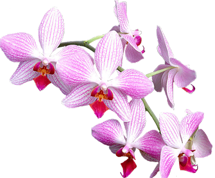 sticker_5759363_16395111