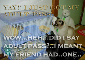 sticker_25823193_34992213