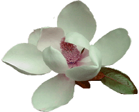 sticker_771754_3104377