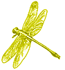 sticker_23920903_34064999