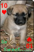 sticker_11685956_47294458