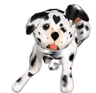 sticker_13361594_46252725