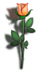 sticker_13288674_47605445