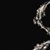 sticker_11556973_22487667