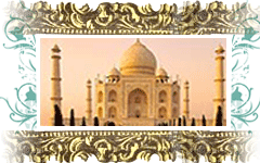 sticker_17976956_47574780